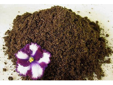 ����������� ��������� ������ 26�.jpg