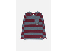 20110100089   Bernina   ��������(���).jpg