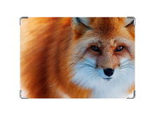 275� ������� ��� �������� ����.jpg