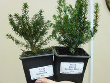 ��� ���������� � ������� ���