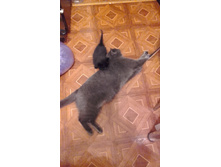20171026 203640.jpg