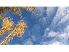 IMG 20171007 130801.jpg