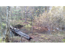 2017-10-08 12-55-14.JPG