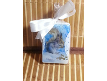 20161225 192112 resized.jpg