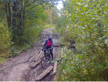 P 20170930 110954.jpg