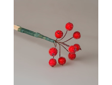 ������ ����� � ������ ������� 01889 65�.jpg