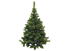 ���\�������: 251-363 ���� ������� 120��. /�� ����/ 1 050,00 ���. �����: ��������� ���� � �������