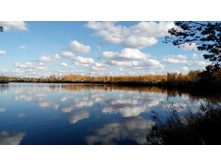 2017-10-08 13-59-33.JPG