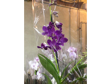 ����������������