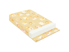 ������ ������ 120*60*10 ������ ���: ��000043638 �������: �10 ���, �� 1,2 �����, �3 0,0714 560 ���.