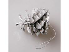 ����� ��������� ������� 35�.jpg