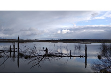 IMG 20171021 142722.jpg