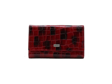 ������� Tosoco ����������� ���� B15-W05.jpg