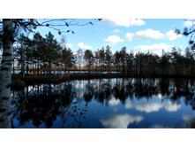 2017-10-08 13-44-53.JPG