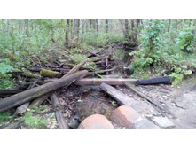 IMG 20171001 122658.jpg