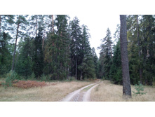 IMG 20171001 110837.jpg