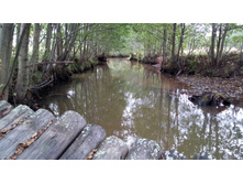 IMG 20171001 102402.jpg