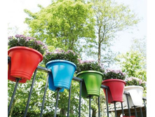 ����� �� �����. �������. �����. ������. ��. ����.JPG