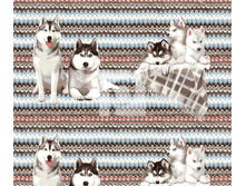 ����� (5).jpg