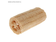 ������� ����������� "������" 40,9��� �� 4��