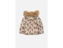 20220130110   Apus          (    ) (1).jpg