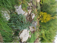 ����������� Boulevard �3 275�+%