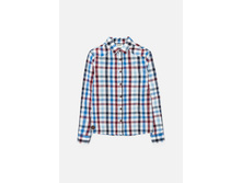 20110280053   Forest   �������(���).jpg