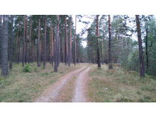 IMG 20171001 101657.jpg