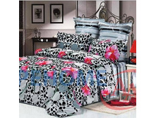 ��� 2�� ����� ������(B62).jpg