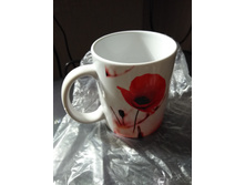 IMG 20171015 112841.jpg