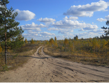 DSCN4489.JPG
