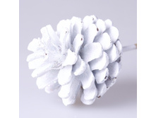 ������ ����� ����� � ������� 85�.jpg