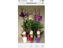 ������� ���� ��� �� �������� � ���� ��� ....