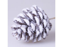 ������ ����� � ����� 85�.jpg