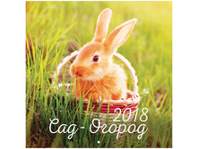 ��������� ������. �������. �� ������� 30�30��, 6�. OfficeSpace ���-������, 2018�. 35,22.jpg