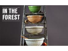 In-the-forest-mixing 1.jpg