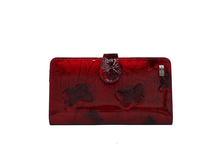 ������� Tosoco ����������� ���� B24-W09.JPG