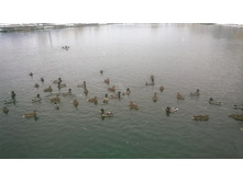 WP 20171023 09 27 51 Pro.jpg