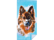 17C-9 ����.jpg