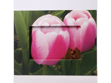 ��������� ������� 17512 199�.jpg