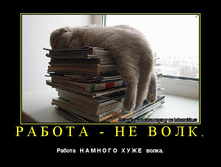 ������ �� ����. ������ ������� ���� �����.