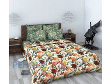 ��� ���� ����� ��������(617-1 ��������).jpg