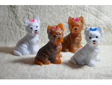 ����/���� ������ �������