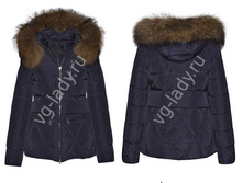 ������ 1520.jpg