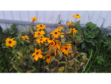 P 20170924 181513.jpg