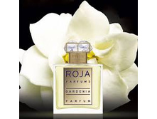 GARDENIA ROJA DOVE �.�. 50 �� 14100+%+����