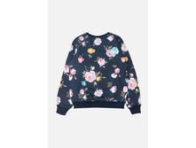 21220100010  Melica        -     (    ).jpg