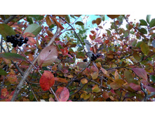 2017-10-08 14-44-58.JPG