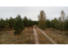 IMG 20171001 112944.jpg