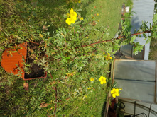 �������� �������������  235+%